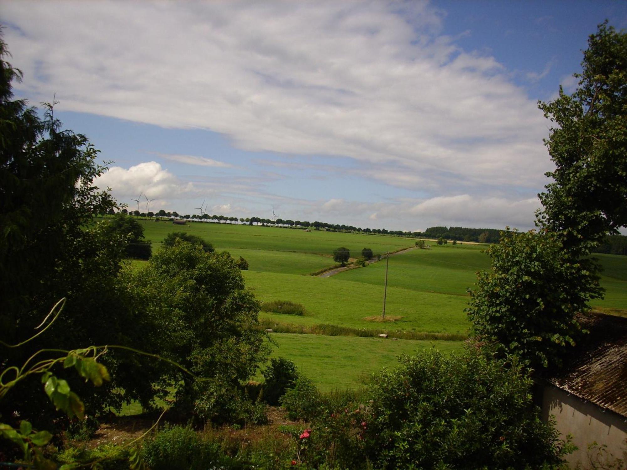 Willekes Blütenhof Madfeld Exterior foto