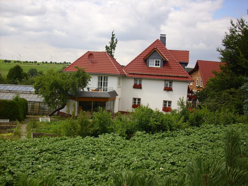 Willekes Blütenhof Madfeld Exterior foto