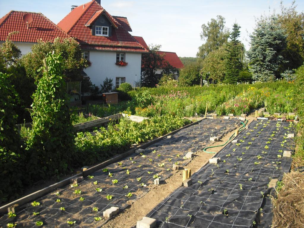 Willekes Blütenhof Madfeld Exterior foto