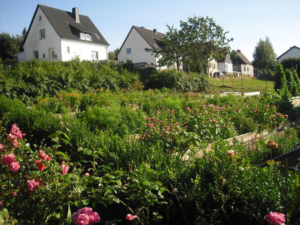Willekes Blütenhof Madfeld Exterior foto